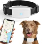 collar-de-perro-con-gps-para perro de caz