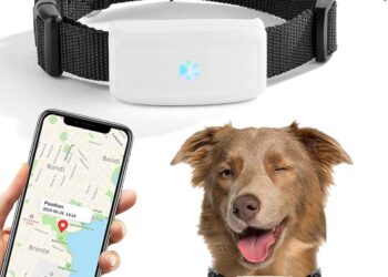 Collares gps para perros de caza