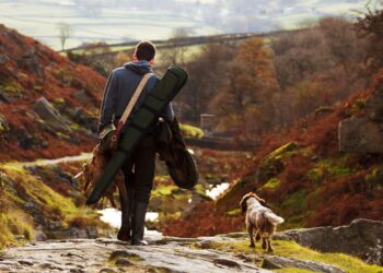 Adiestramiento de Perros de Caza: Una Guía Completa