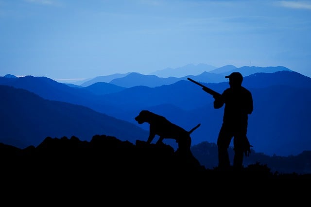 miedo a los disparos en los perros de caza