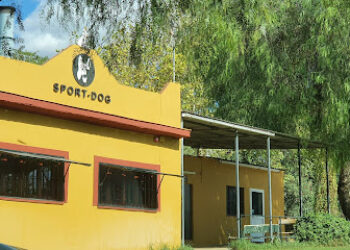 Centro Canino Sport-dog