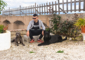 OPENHUND | Adiestramiento Canino | Residencia | Guardería canina | Estepona | Granada