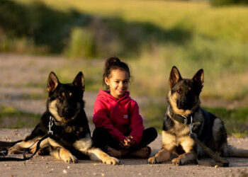 Trident Protection Dogs