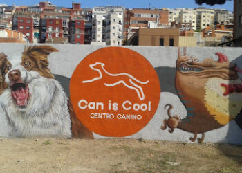 Can is Cool Centro Canino