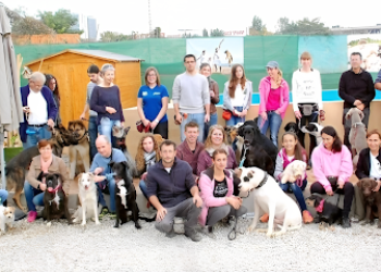 Adiestrar Perros Barcelona – Adiestrador de Perros – Curso Adiestramiento Canino – Escuela Formación Canina – Etólogo Canino