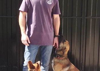 Tony Boma Dog Trainer