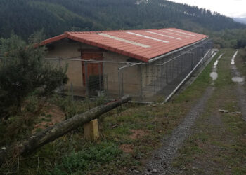 Hotel canino Orbela txakur egoitza