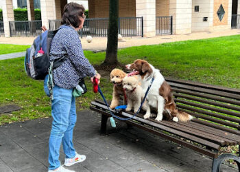 Educador Canino Lucía Fernández Rosa