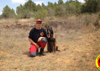 Adiestramiento canino Castellon – los vigilantes del mas