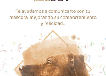 Doggy Educador Canino