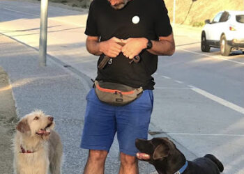 Gos-SOS Adiestrador canino en Barcelona