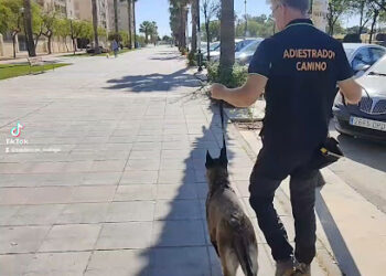 EquipoCan Adiestrador de Cachorros