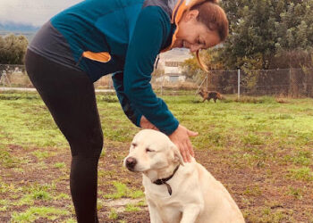 Adiestramiento canino Mirasierra Málaga