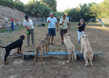 Escuela Canina Adrican Dogtraining