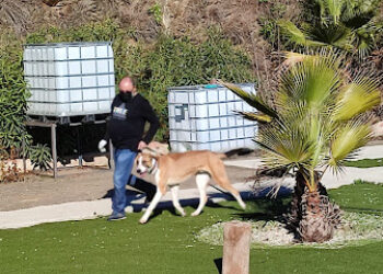 Adiestramiento canino Curro Castillo