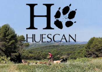 HUESCAN – Adiestrador canino