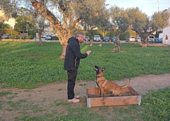 Arcan | Adiestrador de Perros en Sevilla