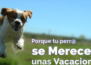 Residencia Canina Riverarce