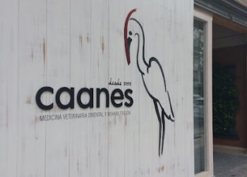 Caanes Medicina Veterinaria Oriental