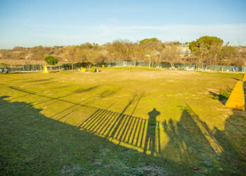 Kawana Centro Canino