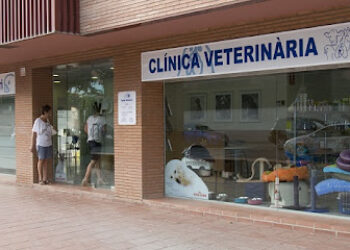 Clínica Veterinaria V3 Lleida