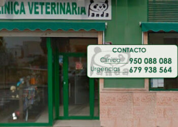 Clínica Veterinaria Panda Veterinario Urgencias Almeria