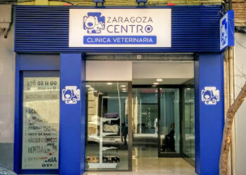 Clínica Veterinaria Zaragoza Centro cita:976 021 100 urgs: 644 91 92 00