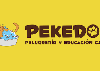 PEKEDOG, Peluquería y educación canina a domicilio.