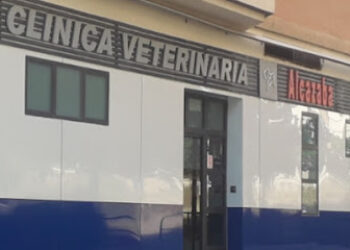 Clínica Veterinaria Alcazaba