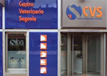 CVS: Centro Veterinario Segovia