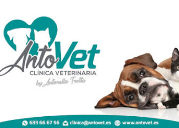 ANTOVET Clínica Veterinaria