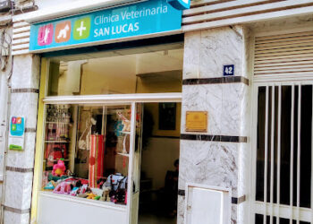 Clínica Veterinaria San Lucas