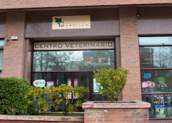 Centro Veterinario Castilla