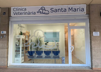 Clinica Veterinaria Santa Maria