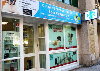 CLINICA VETERINARIA SAN BERNARDO