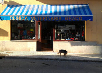 Clínica Veterinaria Grado