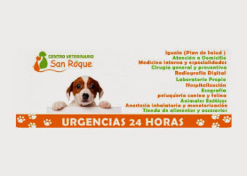 Clínica Veterinaria Badajoz San Roque