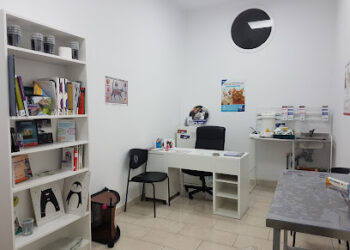 Veterinario Tejina Centro Perenquén.