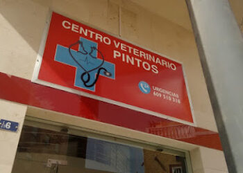 Centro Veterinario Pintos