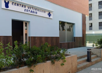 Centro Veterinario Estadio