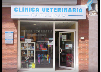 Veterinarios Alicante Urgencias 639 667 646