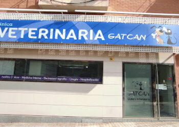 Gatcan, Clínica veterinaria Alicante