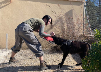 KEIKO Escuela Canina