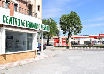 Centro Veterinario Nevada