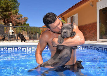 CRIADORES CANE CORSO – Corsos X-man S.L