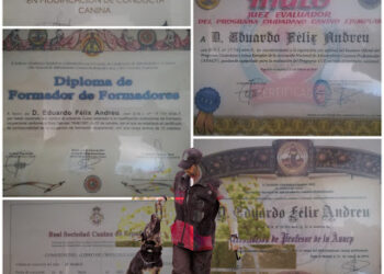 VALBALAT Equipo de IGP- SchutzHund Los Llanos. Adiestramiento canino deportivo