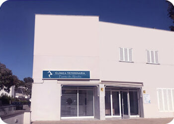 Clínica Veterinaria Puerto de Alcúdia
