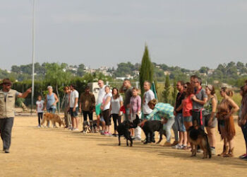 Adiestramiento Canino en Valencia GRUPO YAAKUN