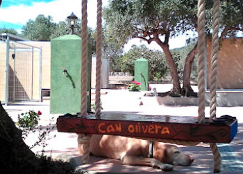 Residencia Canina Can Olivera