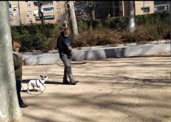 El perro escuchado